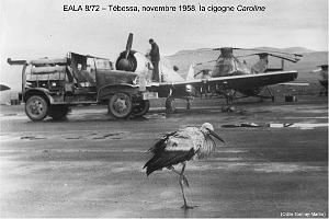 185- ARMEE DE L'AIR EN ALGERIE 1945-1962-33 (13)